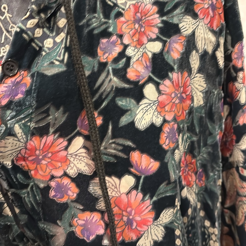 Johnny Was Pete & Greta sheer velvet hoodie. - Picture 3 of 7